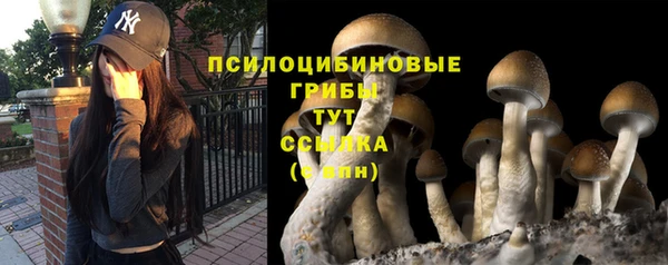 PSILOCYBIN Алексин