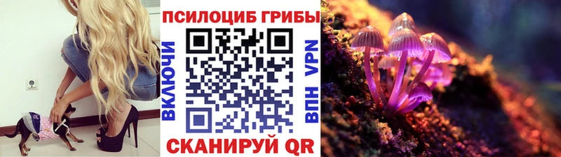 что такое наркотик  Нововоронеж  Галлюциногенные грибы прущие грибы 