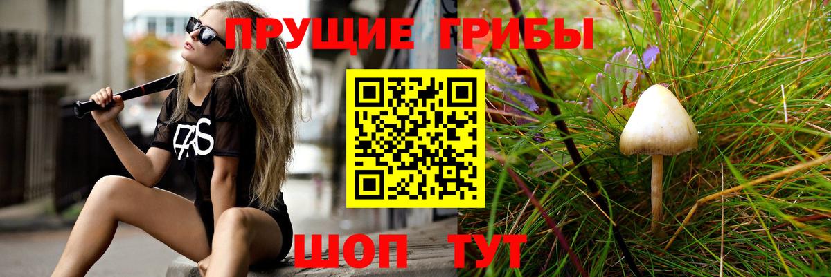 Нововоронеж  Галлюциногенные грибы GOLDEN TEACHER  Галлюциногенные грибы Psilocybe  купить   Вход с VPN 