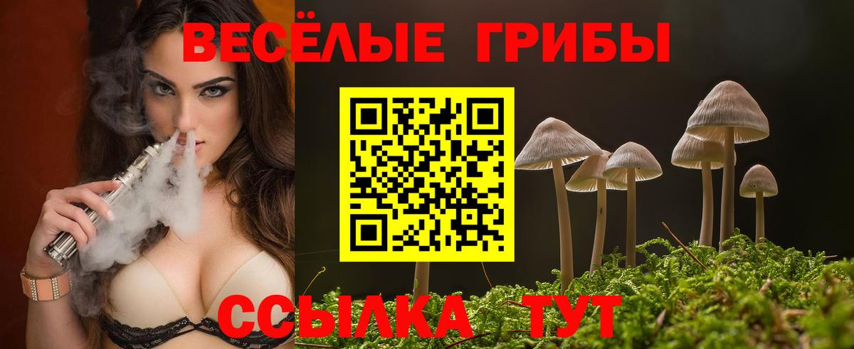 Галлюциногенные грибы Magic Shrooms Нововоронеж