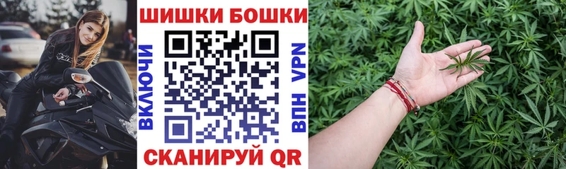 магазин продажи наркотиков  Нововоронеж  Каннабис ГИДРОПОН 